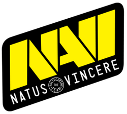 rsz_600px-natus_vincere