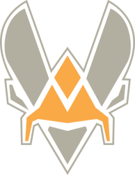 Team Vitality