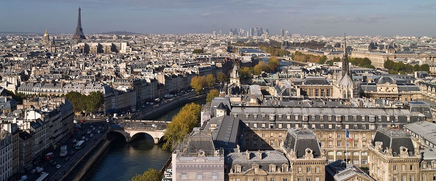 Vista de París desde Notre-dame