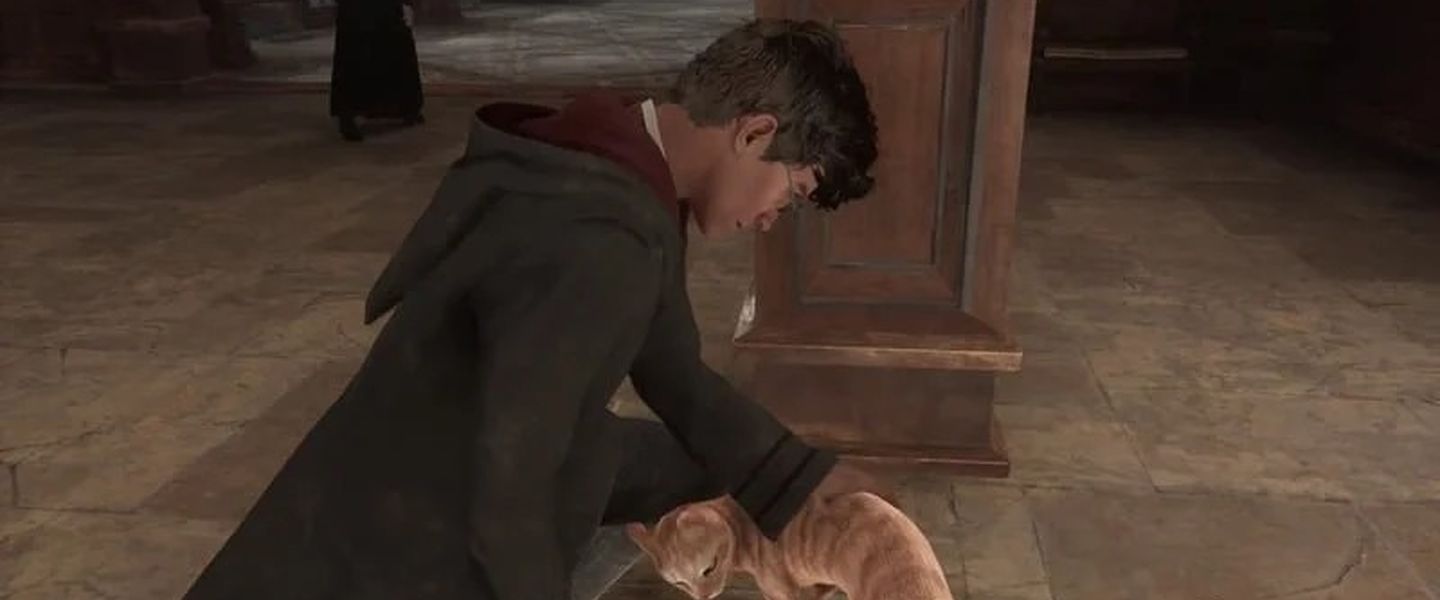 Los gatos no se tocan: la broma interna de los desarrolladores de Hogwarts Legacy